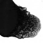 Scanner